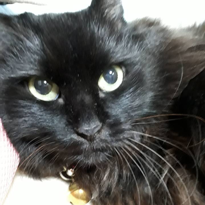 8baf7925 588d 4220 8fa4 2caf1260e63d 1542893717764