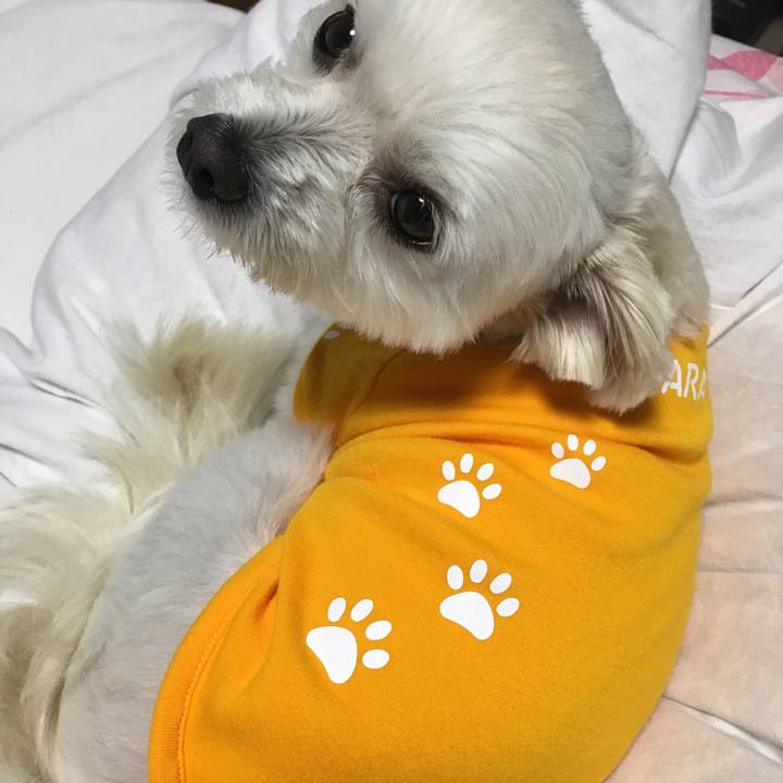 8baf891e 7f93 41e8 b5d1 5619248784db 1507897403946