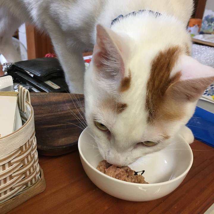 8baf8ea4 46a0 4769 befe a69e09aa52a1 1529757948994