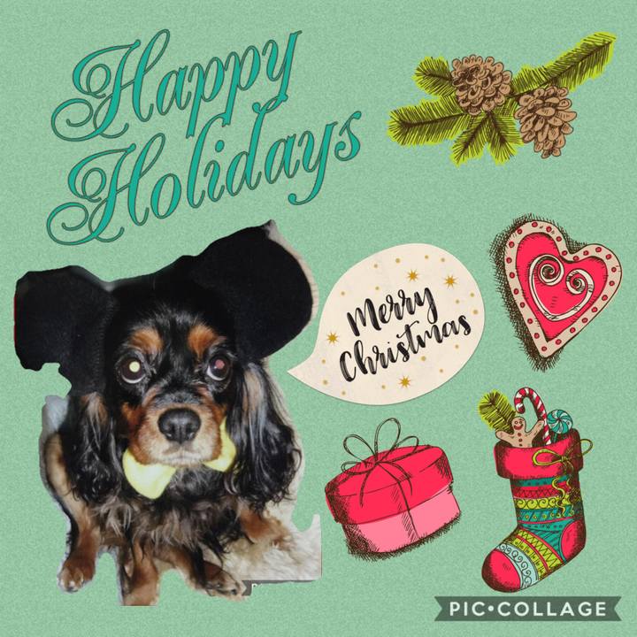 8bafba02 9a16 4ed6 a888 383f7a83e55c 1608781669135