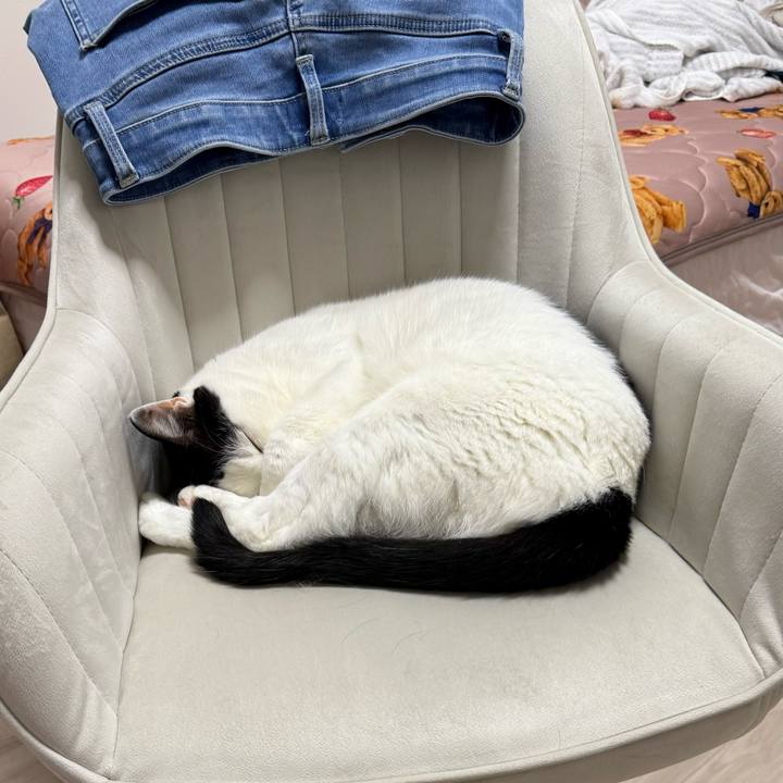 8bafc152 aff8 49fb a762 07d0cf420a9e 1728401919452