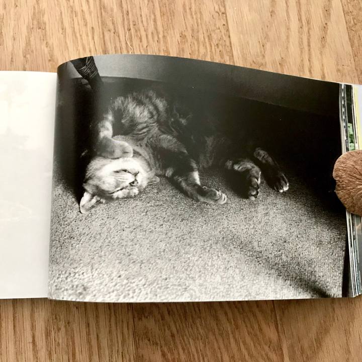 8bafd539 0ca9 4f14 b22a 3721100c3eeb 1562997150695