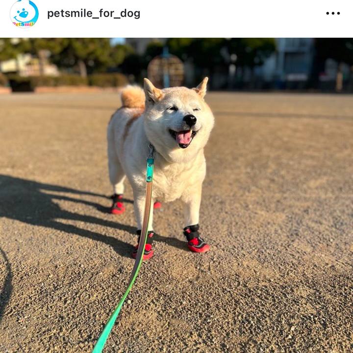 8bb04d8c 49ff 487d 93b2 771cbad20439 1737512092010