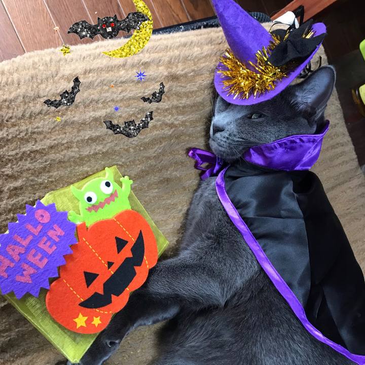 8bb050c2 33b1 4c83 89ab 0fc2302c5830 1540967066270