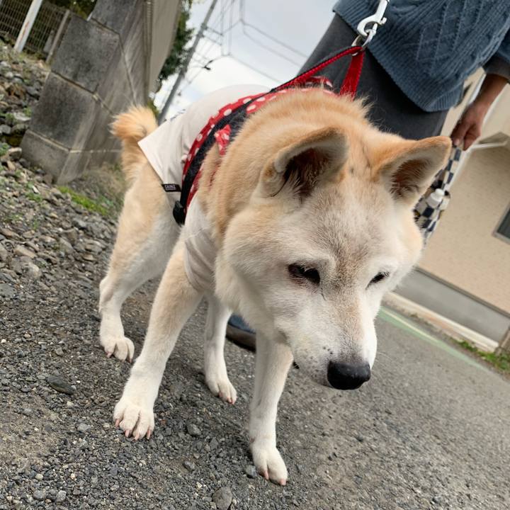 8bb05b64 d715 416a 8014 ac4a158916f0 1574152183503