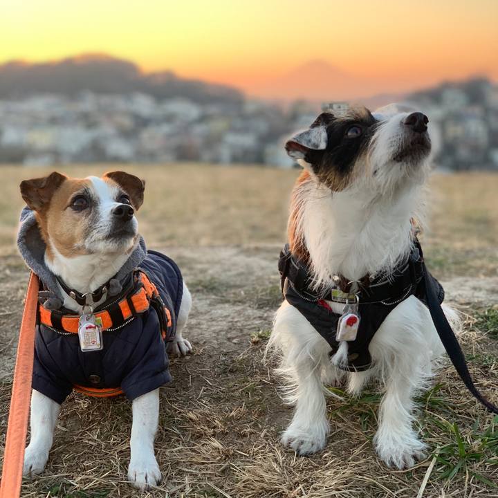 8bb078bb b569 44db b828 4dd23479515c 1609230341978