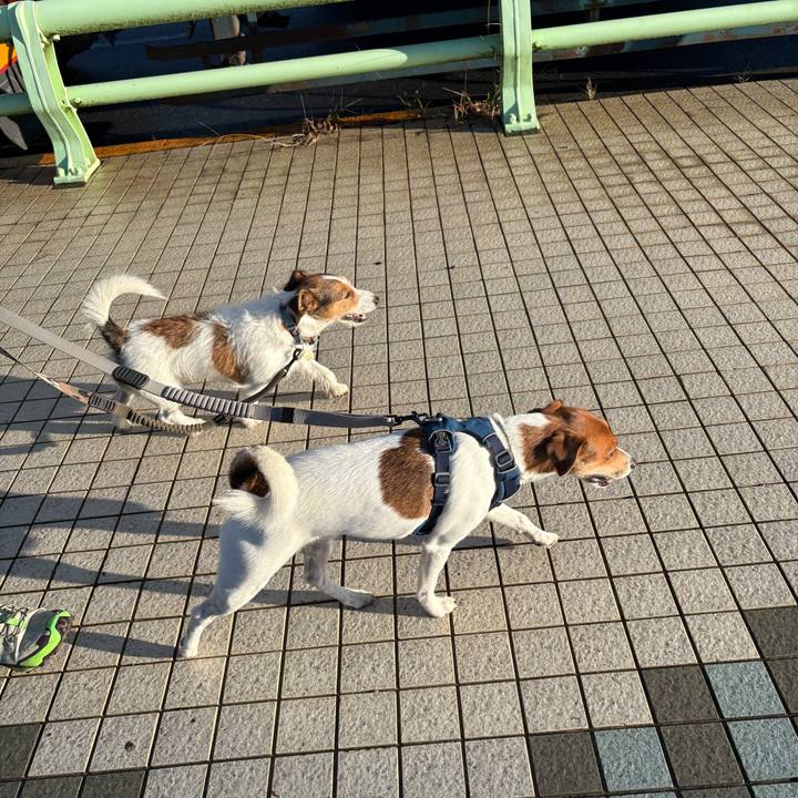 8bb0a940 b690 48c2 95fb f2e3d0aa7097 1760707959292