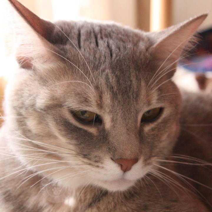 8bb0dca3 4a9f 4fc3 a28f 240b90b1538a 1515901137947