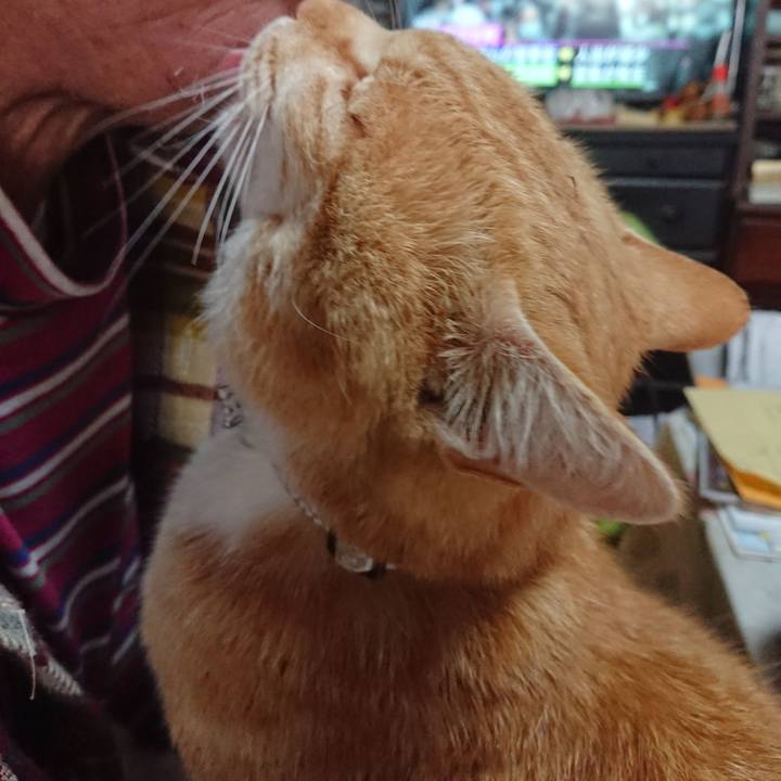 8bb0e16a 4935 4183 bcb3 7f2a0fd4543c 1587853359496