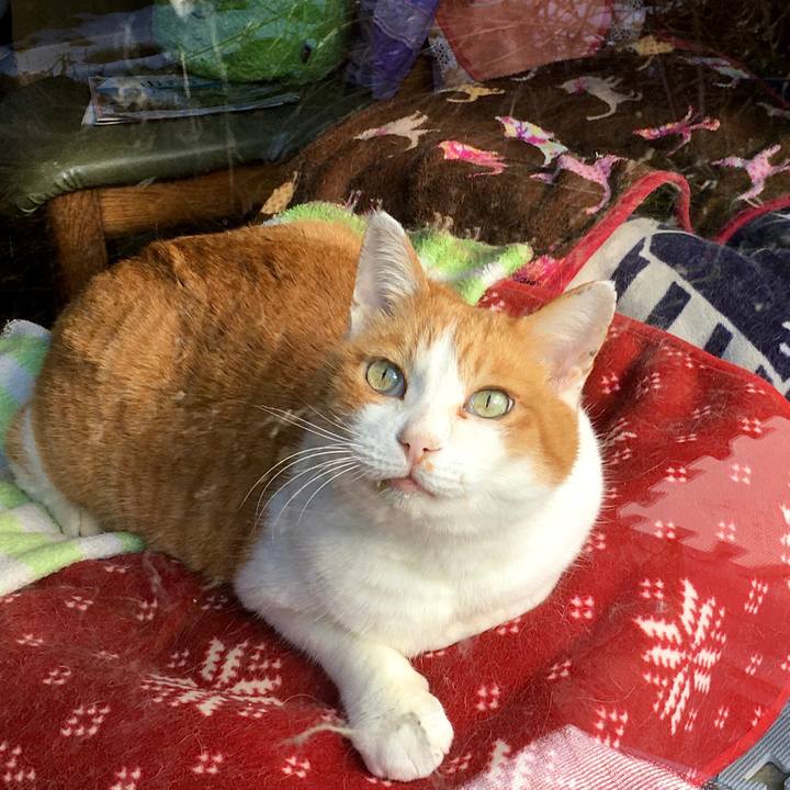 8bb11dec 46d6 4dc4 aa16 9d698b941c1a 1610606117473