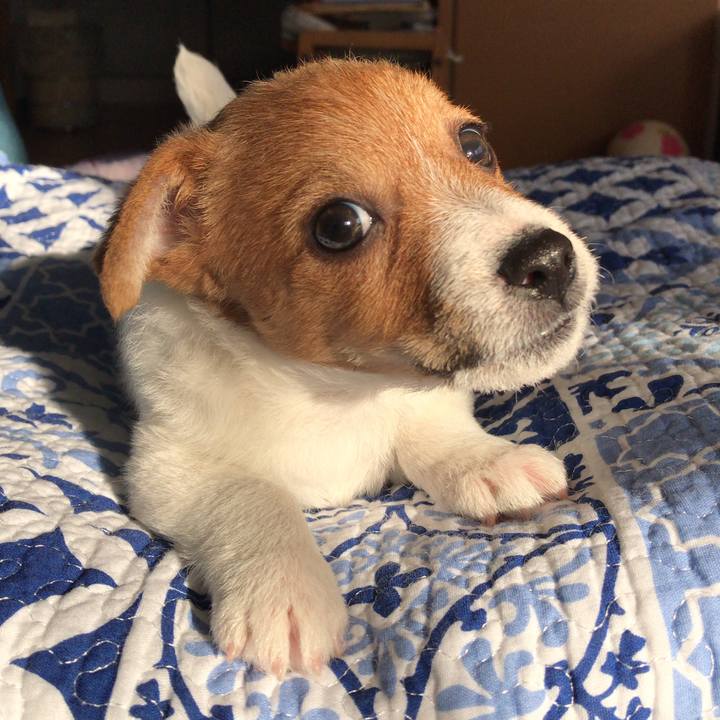 8bb134f8 53a1 4751 8f50 47a99cdd3efe 1545180824604