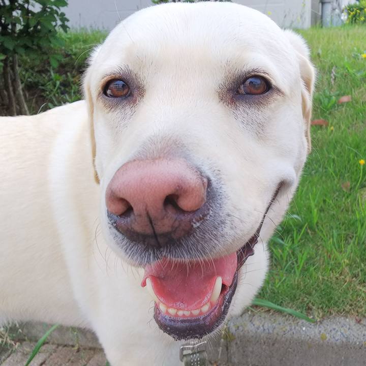 8bb16015 b3fd 48f9 84c6 f7aae3e045bd 1562125823248