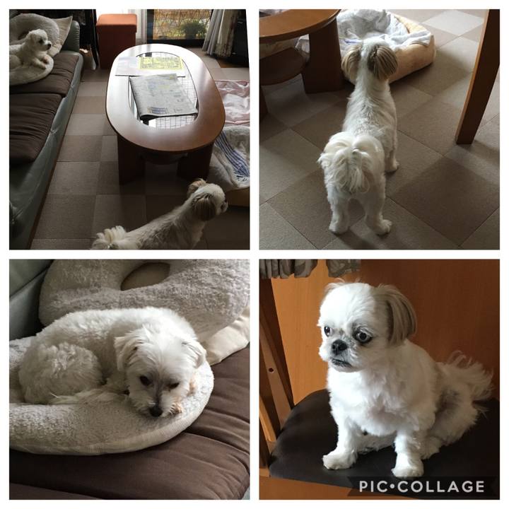 8bb18922 5950 4836 b2de 1b058ccd18de 1560555812604