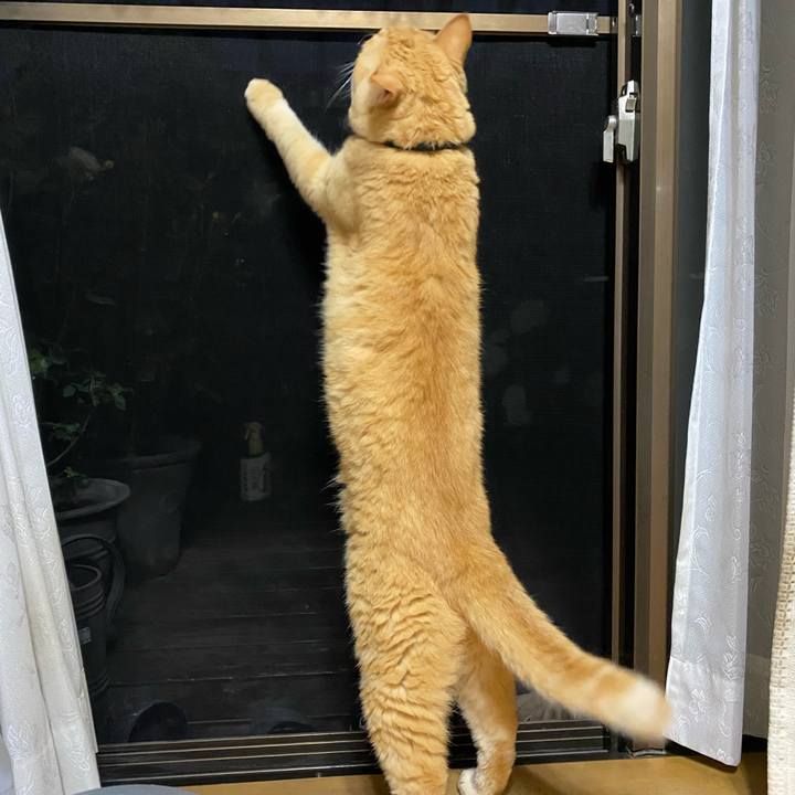 8bb18f34 7112 489f 9e4a fd782416b7dd 1688178632874