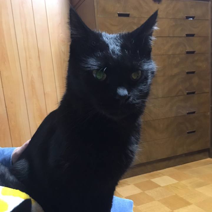 8bb1945c 4dc1 4035 b1f6 c673dd4f72b2 1541427361283