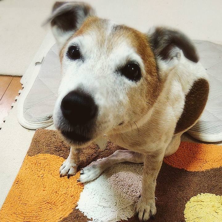 8bb1eeef 514c 4b5a b119 755fc616c51e 1594596767874