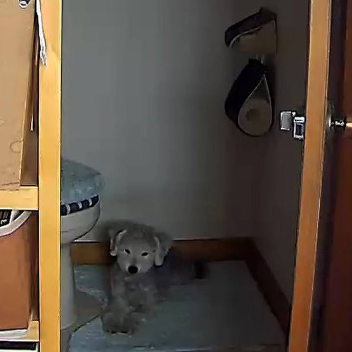 8bb1f241 d67c 4a4c 8cb5 15cf6c6a4955 1601954386266