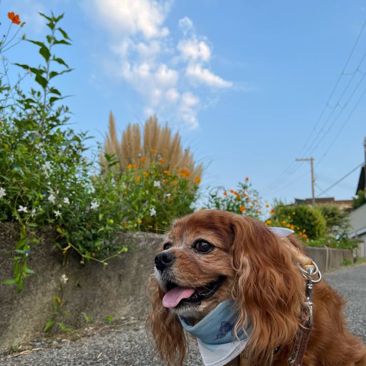 8bb1f6a1 c59f 4e67 bf7c 8ff2bdab960b 1725753432172