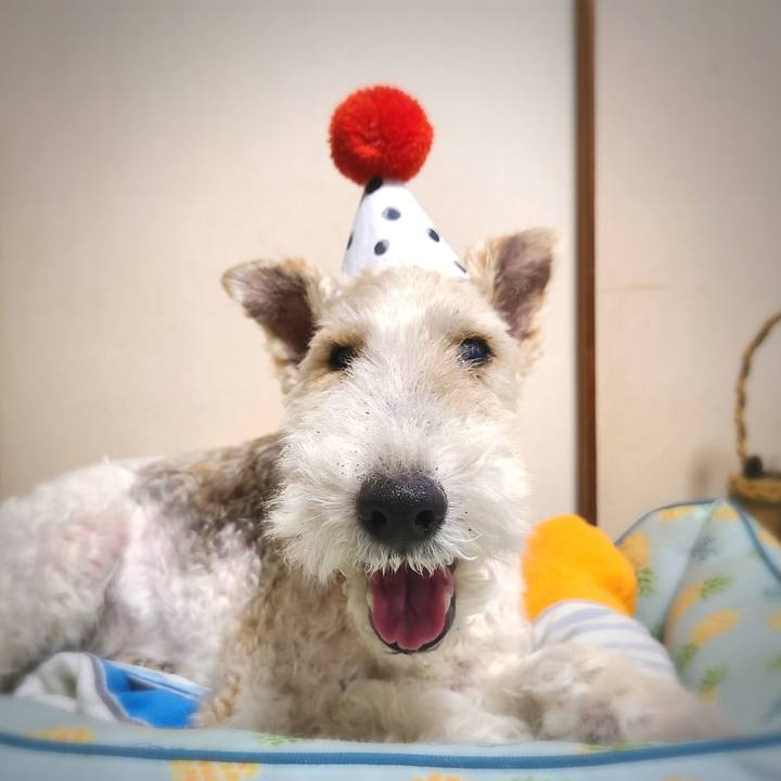 8bb218d1 330a 4a51 bc60 9c70e624832a 1659048640268