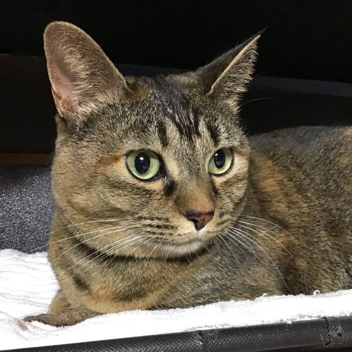 8bb23ba6 cbca 4eb5 b35f f0ad6b22a505 1736158580487