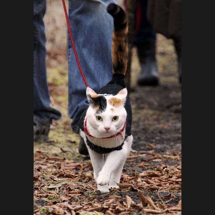 8bb27315 7f41 48c1 8221 cdeae0a2f304 1613965756652