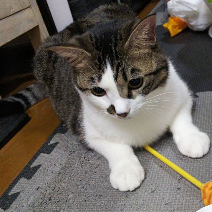 8bb293b3 5cb5 4a3d a293 48af63284dff 1635334822381