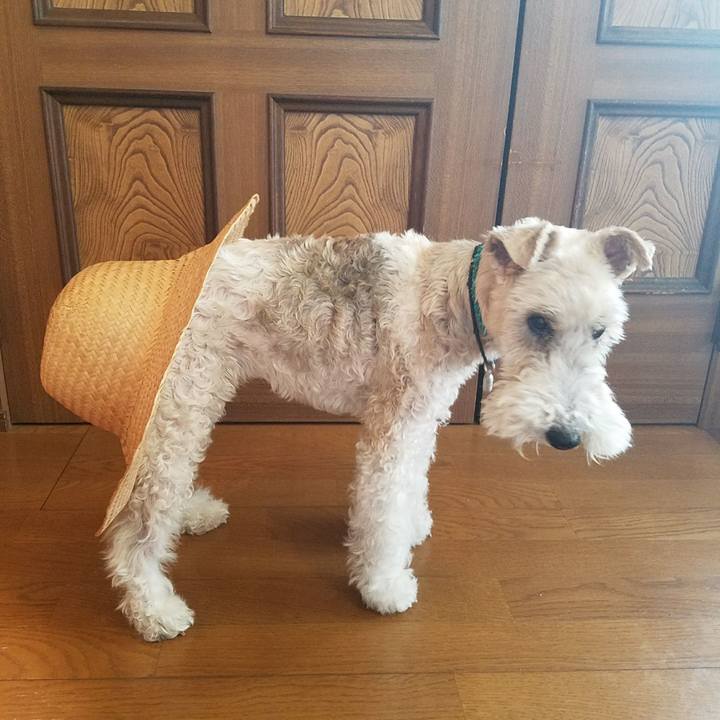 8bb2ba83 8c80 4e59 8c48 c253172ac717 1525597381888