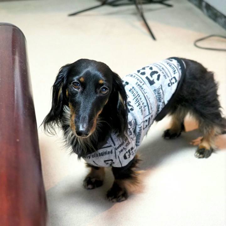 8bb2c3d8 6e8f 4148 bf04 2371be36da42 1554285765434