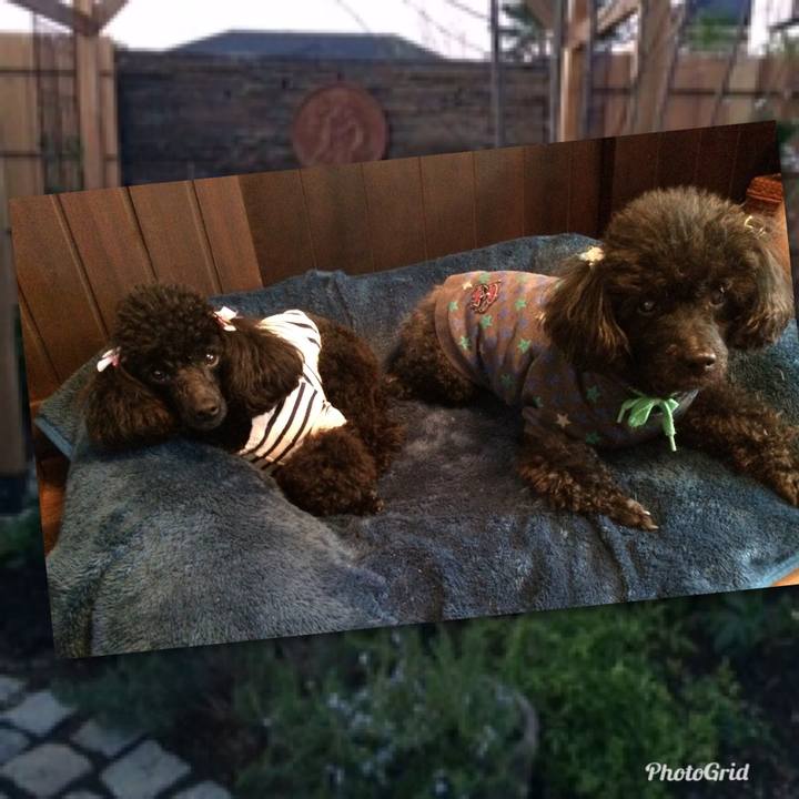 8bb2ff7a ef20 435c 8c79 fbe52f4b55aa 1555365754345