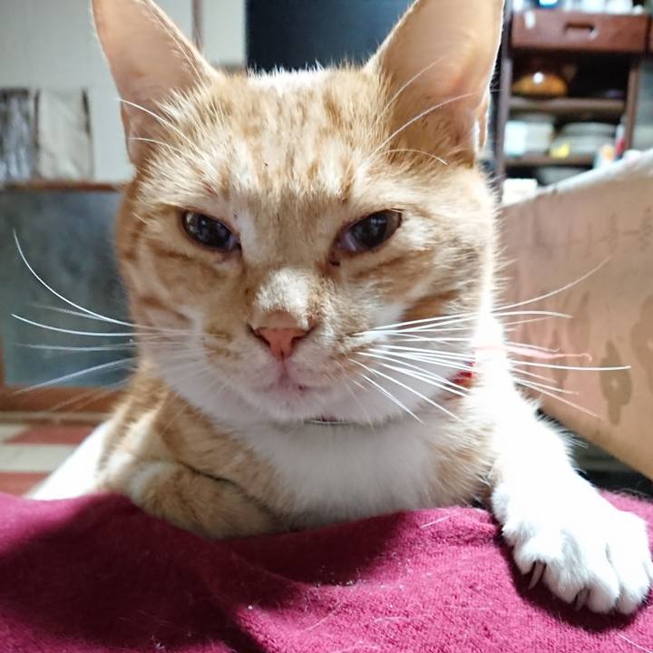 8bb37fcb 1712 4838 b839 db1ee7faa287 1571346026471