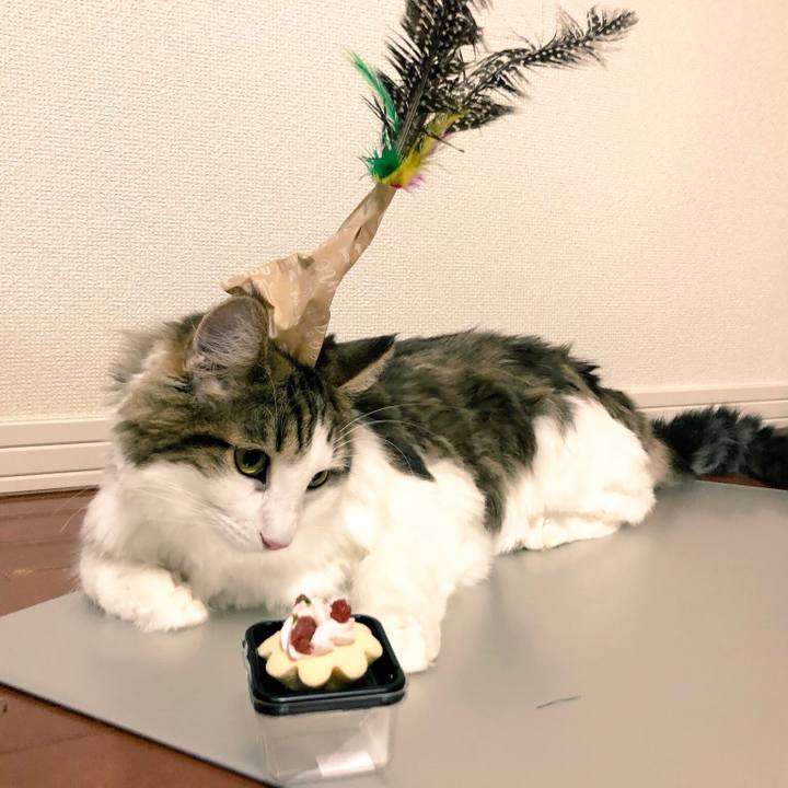 8bb390c9 7c72 464d be47 b1c92176acc3 1532344199869