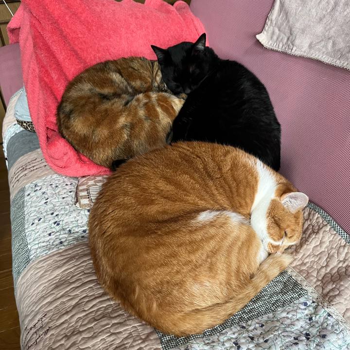 8bb3d4e4 20e0 4072 9bf7 7be2f4c34f4a 1761097111678