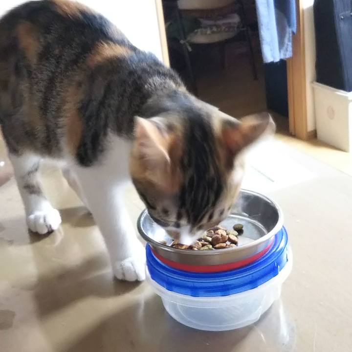 8bb3f5cd 603f 49f6 9073 f12ee3dc063f 1628367059338