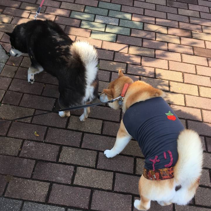 8bb3f745 96e4 4911 9cdc be38eef77525 1542683716277