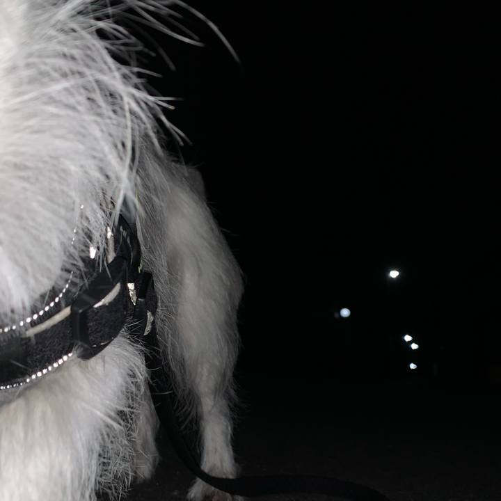 8bb43175 d840 41f1 bd86 8a450b606292 1731499943111