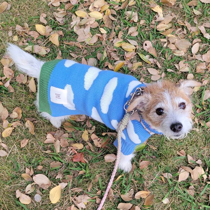 8bb43a84 35c8 45dd 9bbd 28bf0ce08965 1763947407313