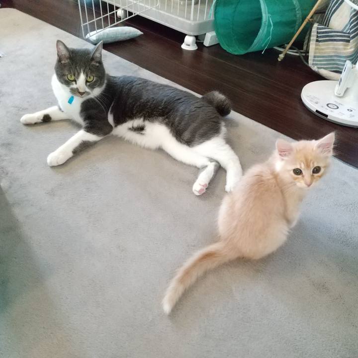 8bb45b70 840b 4516 935c 87c1989e7522 1603577754663