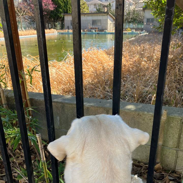 8bb4859f 7e42 402b b1c3 2d79d4d960eb 1676946151875