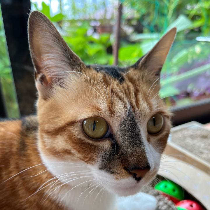 8bb502de ddb1 4ddb 9226 61cfc359dd33 1687047360205