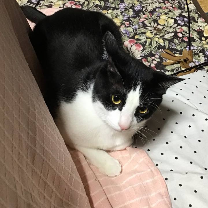 8bb5213b 8309 42ff bec3 daca7e32c404 1683979051940