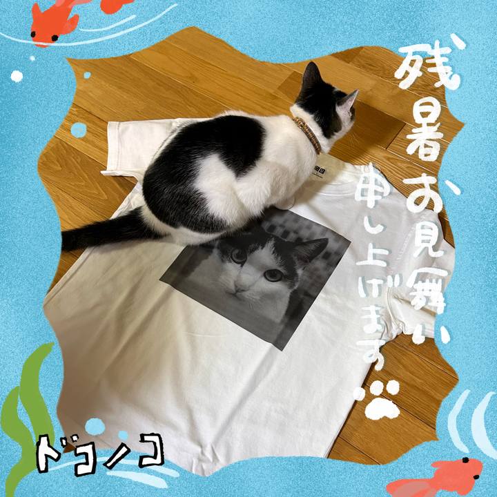 8bb537b6 58d7 495b bae7 bd8dbf940ae6 1723641887328