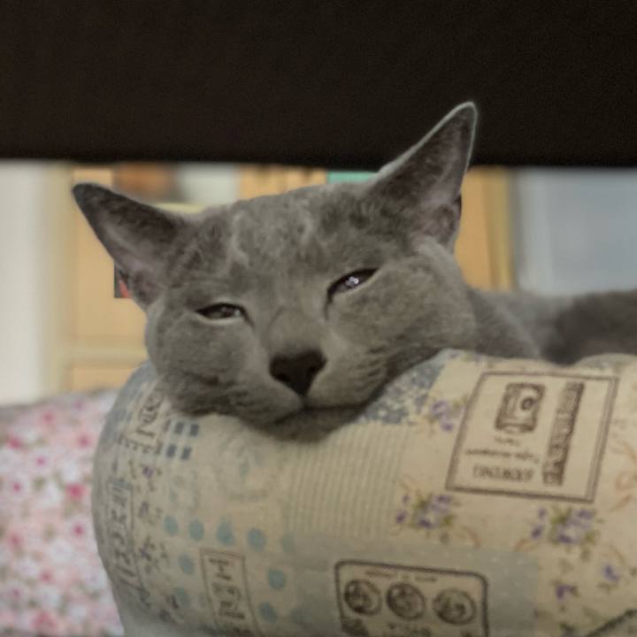 8bb5390c 5c6b 4fef acf3 397287d52095 1715042704300