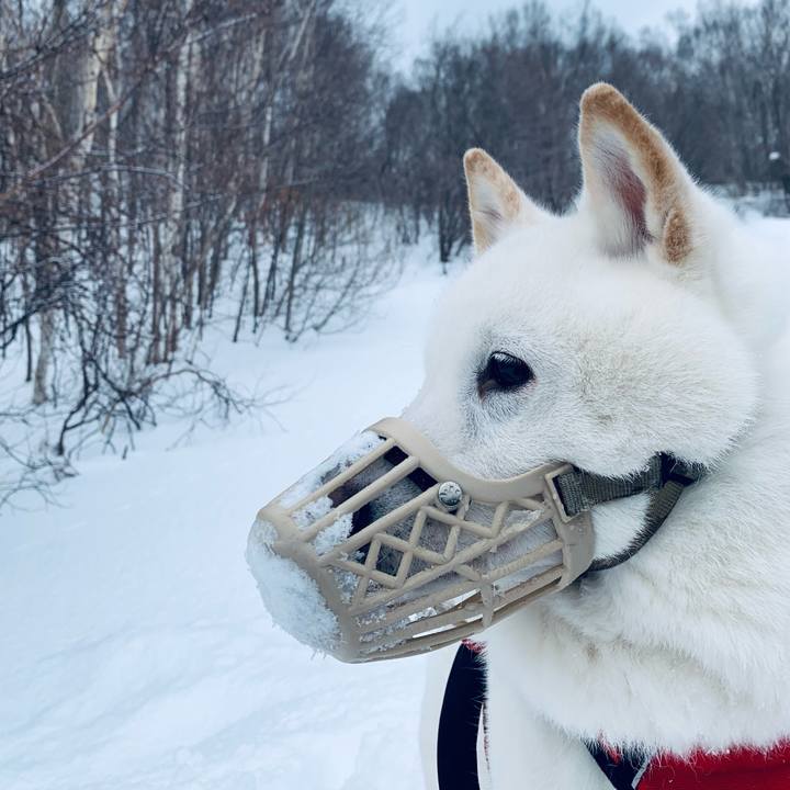 8bb582b0 b4a0 40ce b0f3 cb748c3032d1 1676766668734