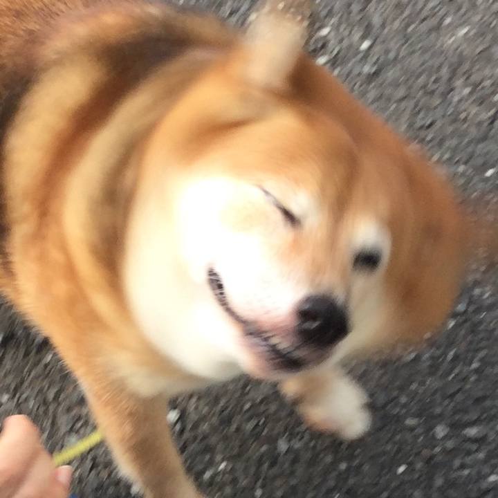 8bb5cee4 b209 42e5 b92c 6b917ecd03c0 1570430456868