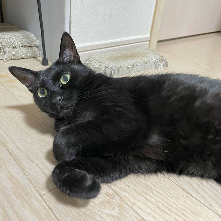 8bb641a9 1bc9 4431 813d 7d22f967ef51 1655117695778