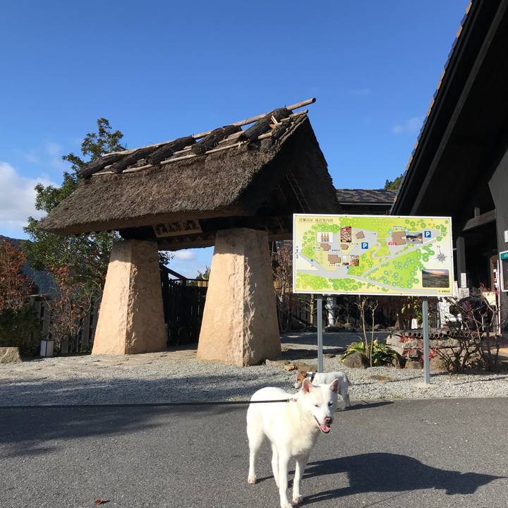 8bb6533b 7eaa 490b 9876 2d2344bbd19f 1510486074169