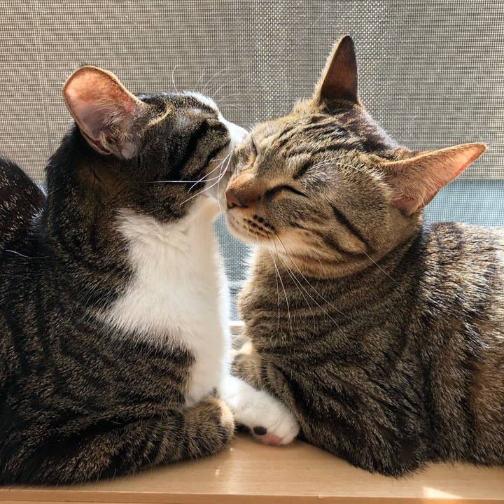 8bb67f47 5a14 4033 97c7 fd6b4d791317 1522083059004