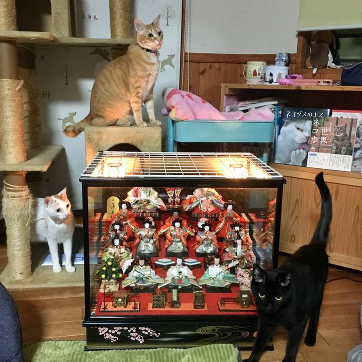 8bb6a6ae 74bb 4af5 83b1 c82a41cf9e15 1551618784230