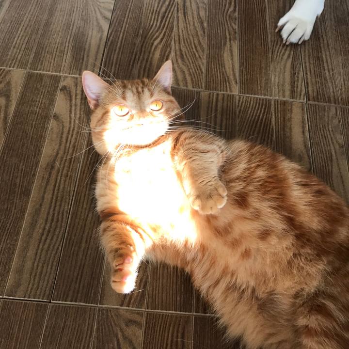 8bb6c616 6f6c 4453 8a39 2a014292d564 1519953661659