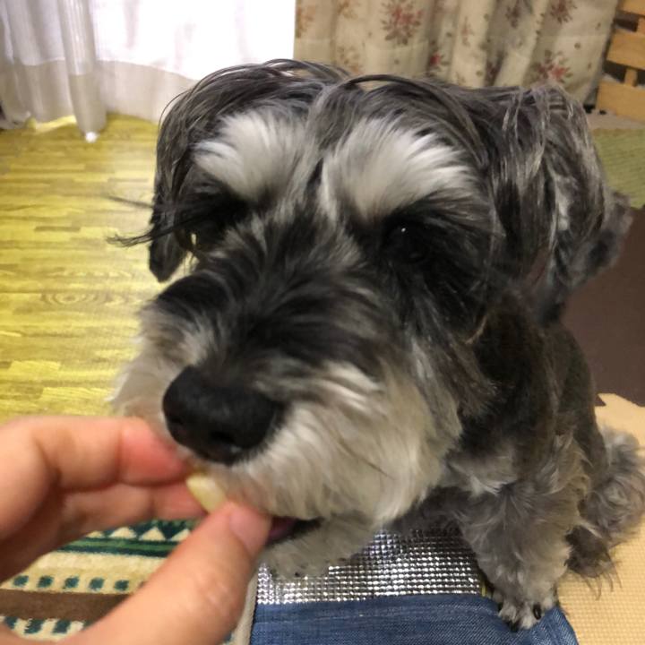 8bb6c9fc 7c1d 46a9 b7eb 54ea7456e8a7 1669172583436